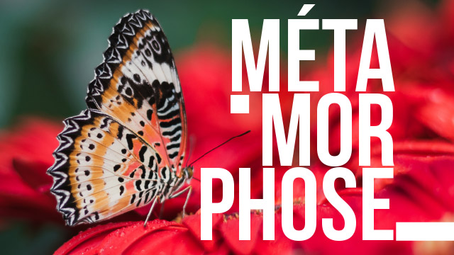 Métamorphose