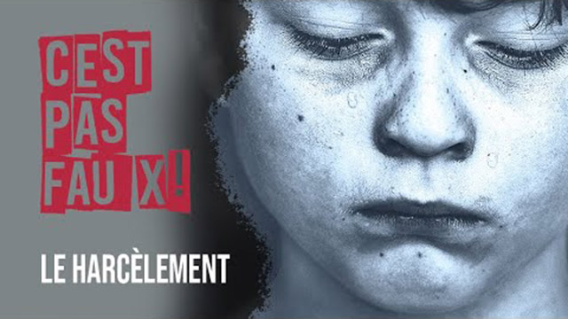 Le harcèlement  – C&rsquo;est pas faux