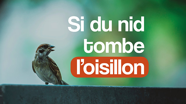 Si du nid tombe l&rsquo;oisillon – Louange