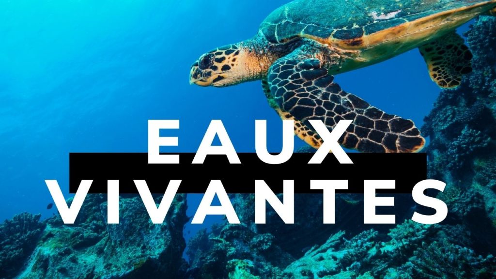 Eaux Vivantes