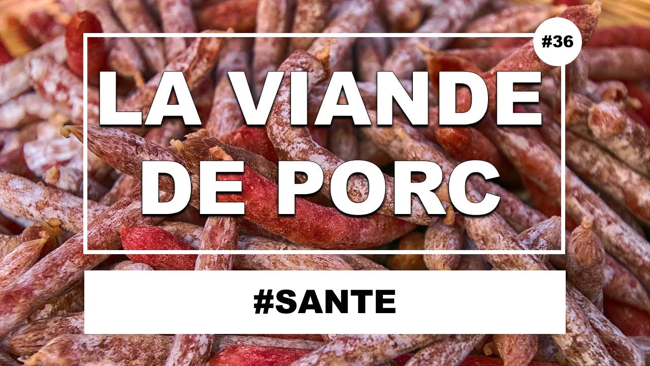 On vous trompe sur le PORC et les ANIMAUX IMPURS ! (Réponses à des Youtubeurs)