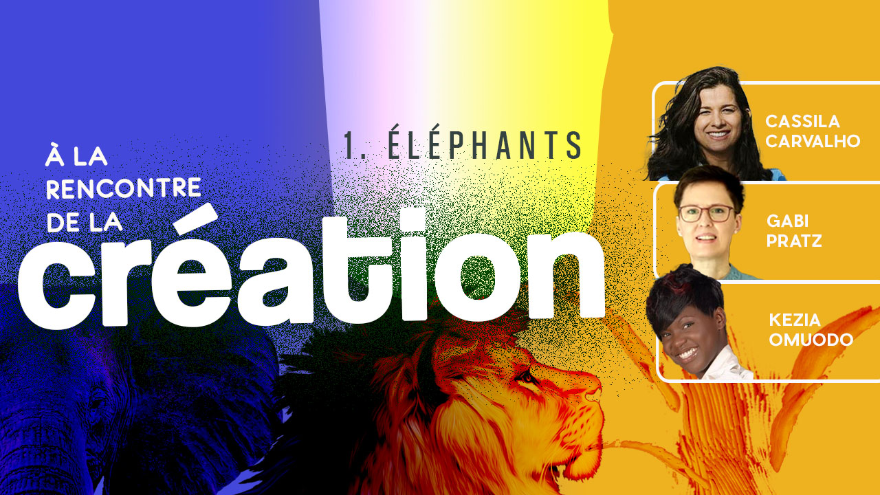 À la rencontre de la Création #1 – Éléphants