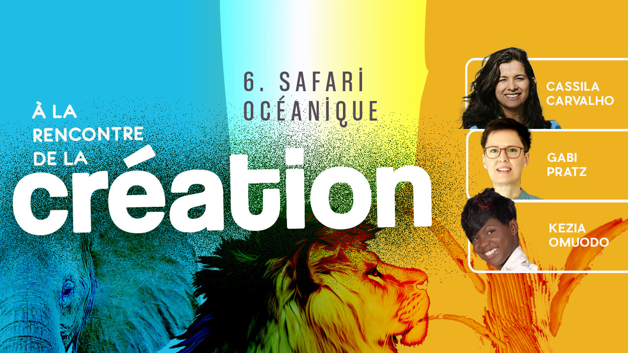 À la rencontre de la Création #6 – Safari océanique