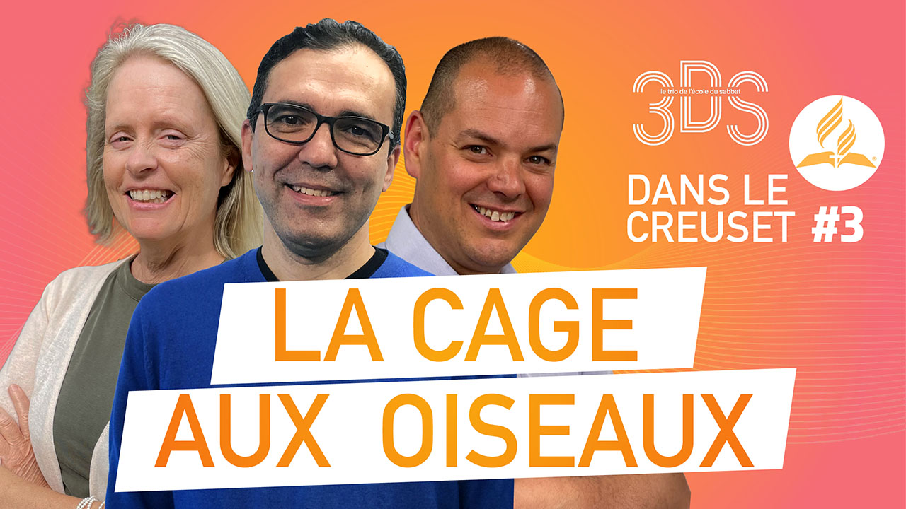 La cage aux oiseaux | 3DS | 2022T3 #3