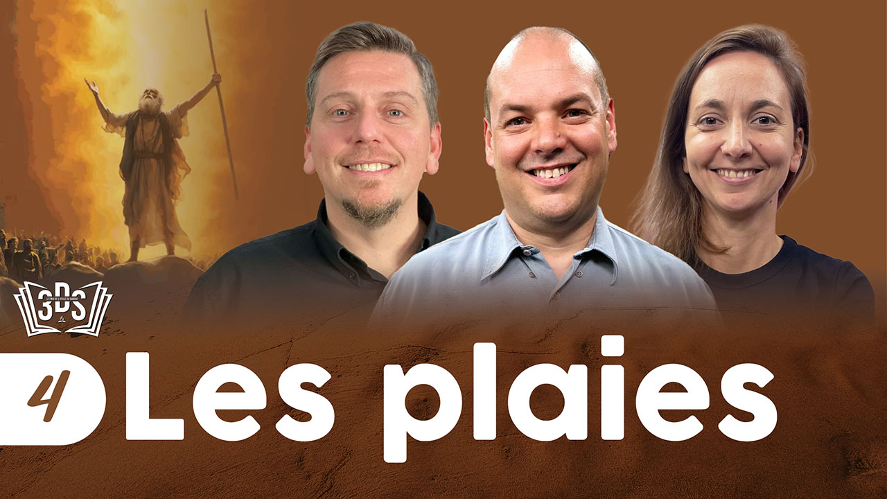 LES PLAIES | 3DS | 2025T3 #4