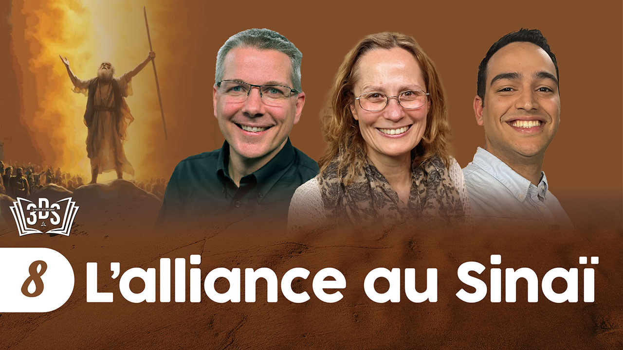 L&rsquo;ALLIANCE AU SINAÏ | 3DS | 2025T3 #8