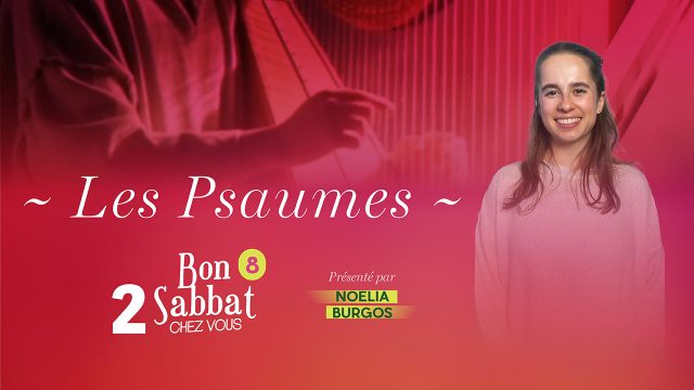 Bon Sabbat Chez Vous – Saison 8