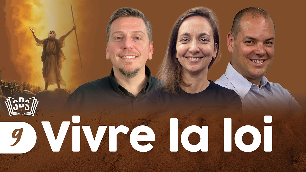 VIVRE LA LOI | 3DS | 2025T3 #9