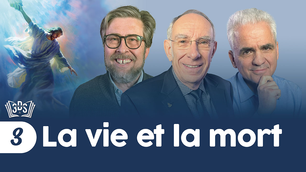 LA VIE ET LA MORT | 3DS | 2026T1 #3