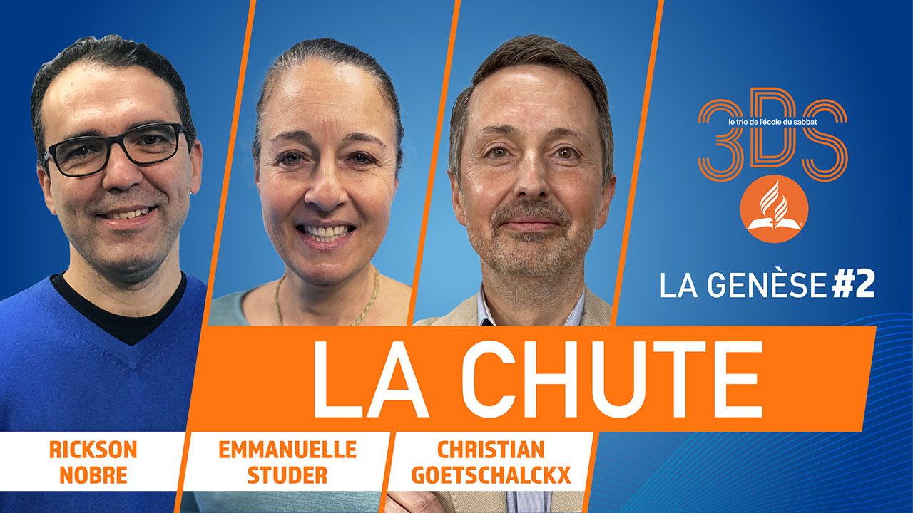 La chute | 3DS | 2022T2 #2