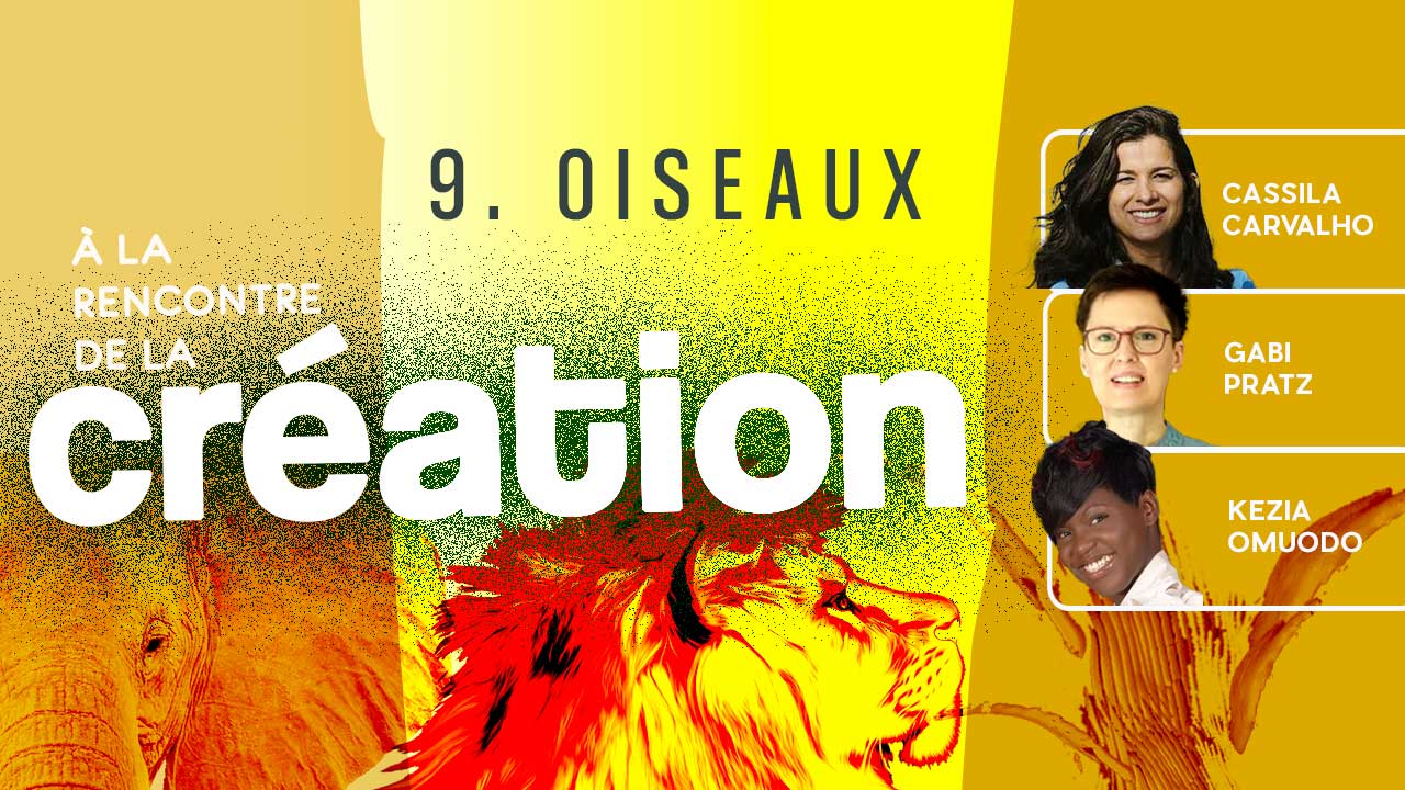 Les oiseaux – À la rencontre de la Création #9