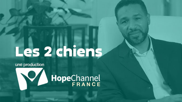 Croire ! Les deux chiens