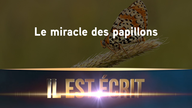 Le miracle des papillons – Il Est Écrit