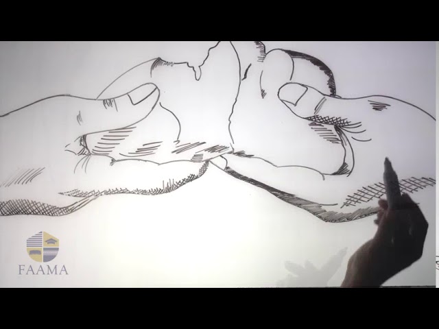 RÉGÉNÉRÉ – AMOS 8