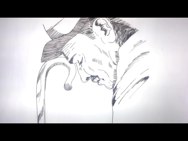 RÉGÉNÉRÉ – ECCLÉSIASTE 12