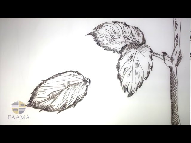 RÉGÉNÉRÉ – ÉZÉCHIEL 7