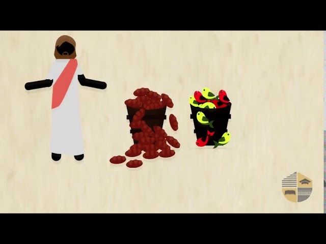 RÉGÉNÉRÉ – LUC 1