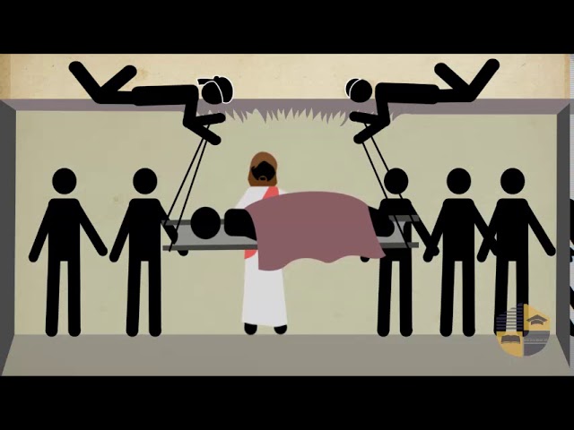 RÉGÉNÉRÉ – MARC 2