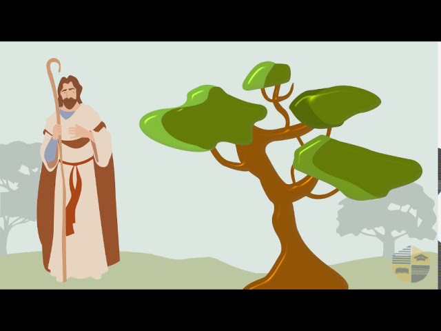 RÉGÉNÉRÉ – MATTHIEU 21