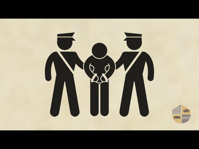 RÉGÉNÉRÉ – ROMANS 11