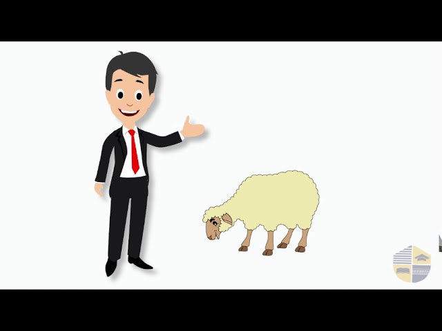 RÉGÉNÉRÉ – ZACARIE 14