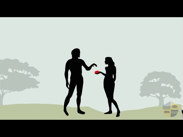 RÉGÉNÉRÉ – ZACARIE 2