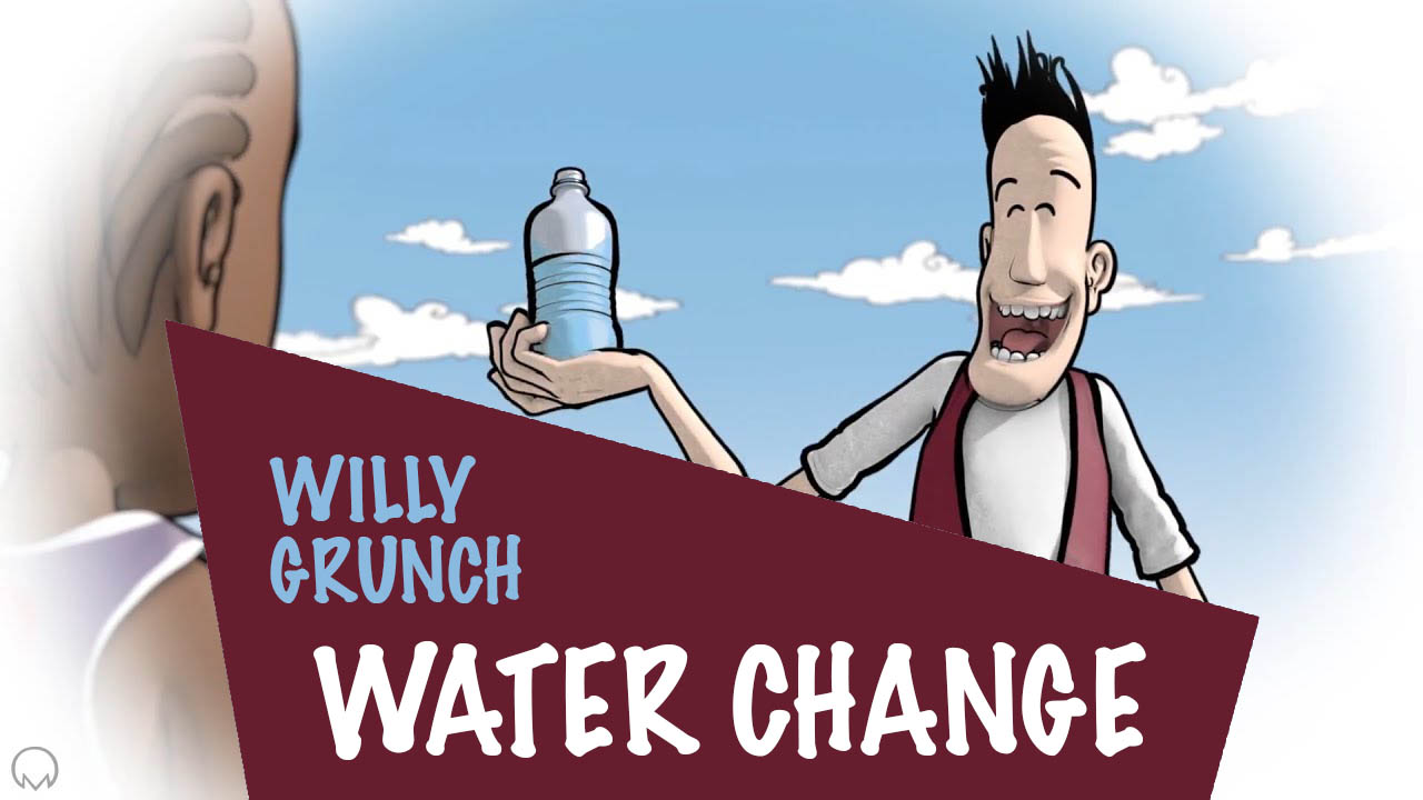 Willy Grunch : Water change – Alain Auderset